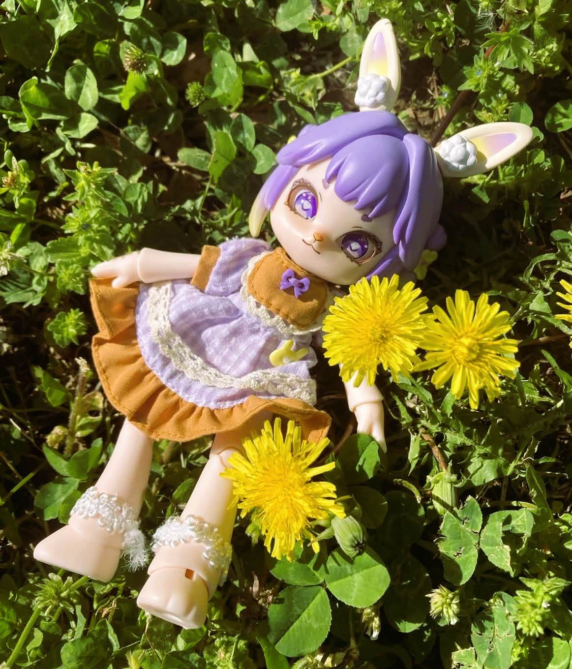 Lily laying in some clover next to three dandelions.