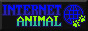 Internet animal.